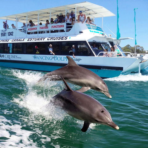 Mandurah Coastal Holiday Park - Accommodation Tasmania 0