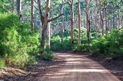 Margaret River Retreat - Accommodation Tasmania 20