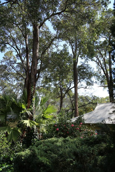Two Sisters Chalets - Accommodation Tasmania 33