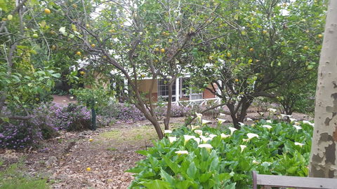 Two Sisters Chalets - Accommodation Tasmania 15