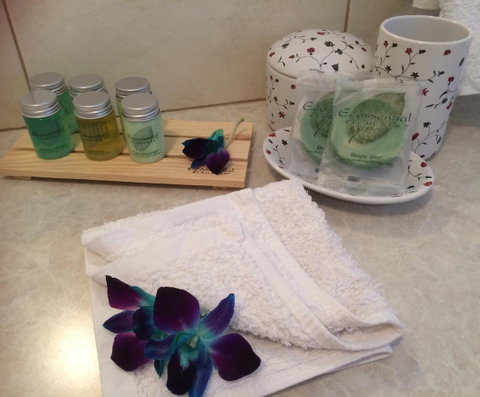 Nivalis Bed And Breakfast - Accommodation Tasmania 28