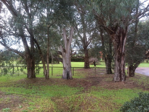 Nivalis Bed And Breakfast - Accommodation Tasmania 29