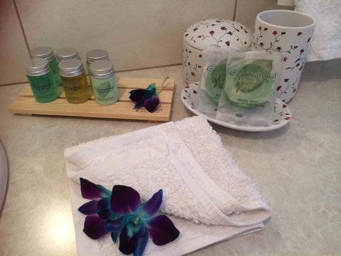 Nivalis Bed And Breakfast - Accommodation Tasmania 15