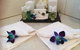Nivalis Bed And Breakfast - thumb 26