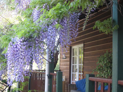 RoseMoore Bed & Breakfast - Accommodation Tasmania 11