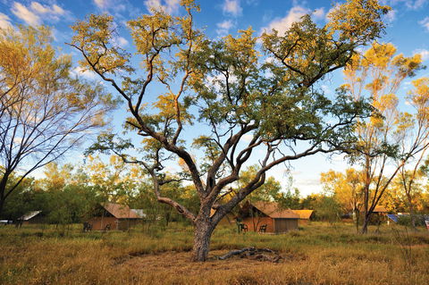Bungle Bungle Wilderness Lodge - Accommodation Tasmania 11