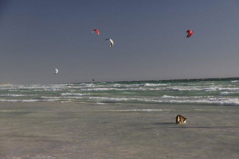 Dongara Tourist Park - Accommodation Tasmania 33