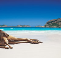 The Shiralee - Accommodation Tasmania