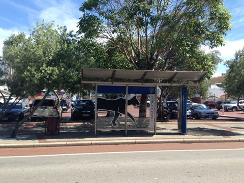 Perth Central Backpackers - Accommodation Tasmania 25