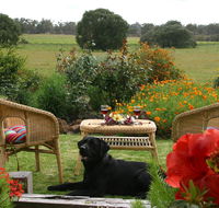 Silversprings cottages - Accommodation Tasmania