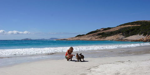 Esperance YHA - Accommodation Tasmania 19