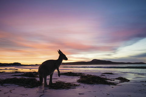Esperance YHA - Accommodation Tasmania 20
