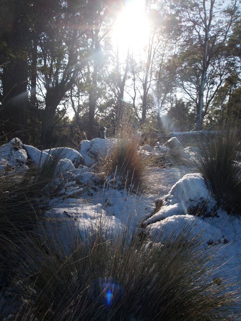 Erriba House - Accommodation Tasmania 9