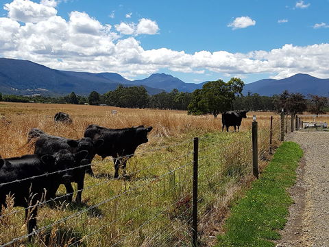 The Manager\'s Cottage - Accommodation Tasmania 6