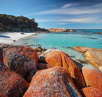 Homelea Accommodation - Accommodation Tasmania
