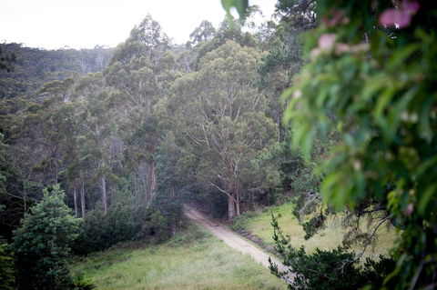 The Pear Cottage - Accommodation Tasmania 19