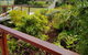 Blue Seas Holiday Villas - thumb 10