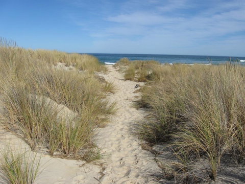 Blue Seas Holiday Villas - Accommodation Tasmania 9