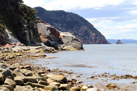 Aplite House - Accommodation Tasmania 26