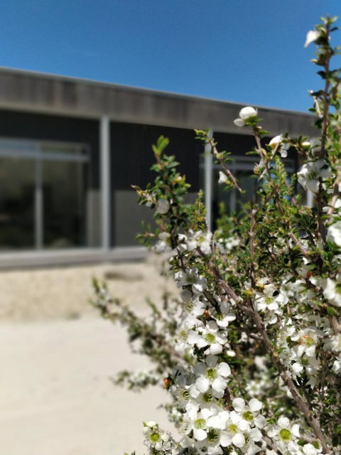 Aplite House - Accommodation Tasmania 7