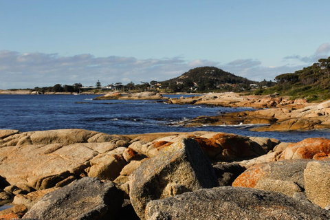 Mermaids Of Bicheno - Accommodation Tasmania 15