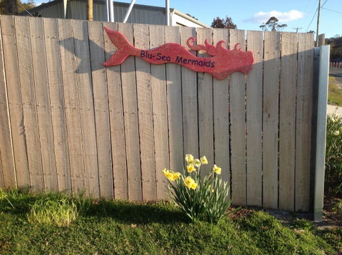 Mermaids Of Bicheno - Accommodation Tasmania 17