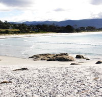 Mermaids of Bicheno - Accommodation Tasmania
