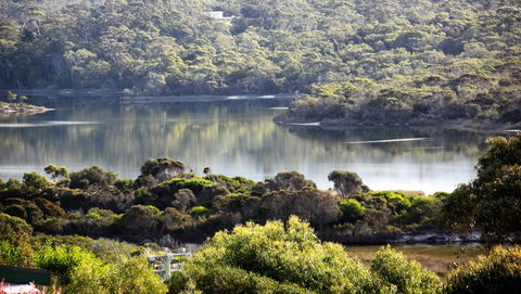 SEA EAGLE COTTAGE Amazing Views Of Bay Of Fires - Accommodation Tasmania 17