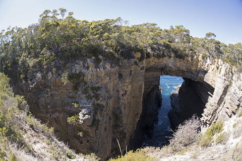 Eaglehawk Pavilions - Accommodation Tasmania 34