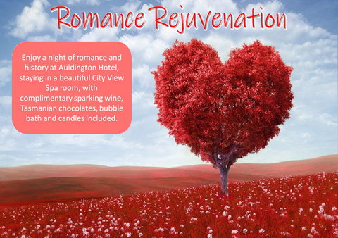 Auldington Hotel - Accommodation Tasmania 6