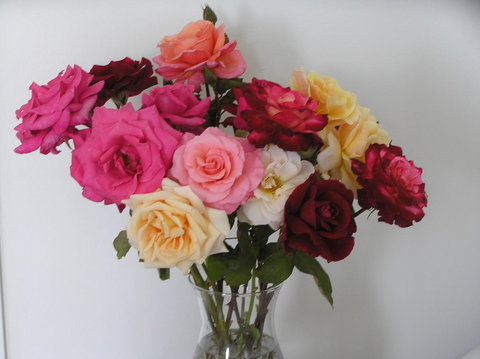 Auldington Hotel - Accommodation Tasmania 30