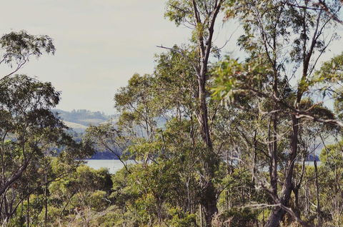 Oyster Cove Chalet - Accommodation Tasmania 17