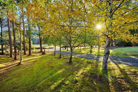 Oyster Cove Chalet - Accommodation Tasmania 1