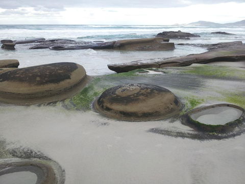 Suntrap Cove Bicheno - Accommodation Tasmania 6