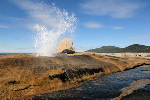 Suntrap Cove Bicheno - Accommodation Tasmania 30