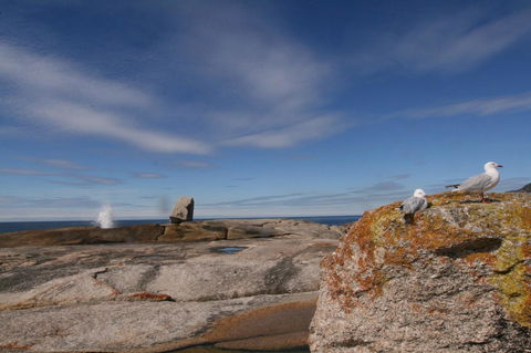Suntrap Cove Bicheno - Accommodation Tasmania 37