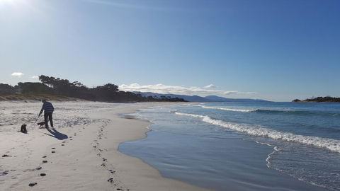 Suntrap Cove Bicheno - Accommodation Tasmania 5