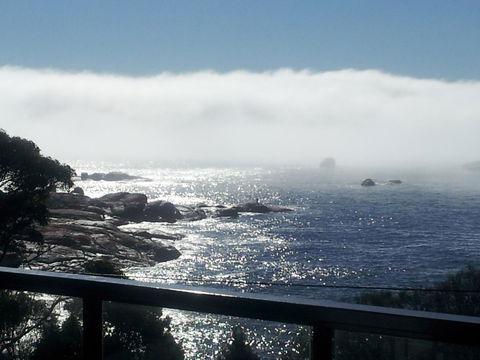 Suntrap Cove Bicheno - Accommodation Tasmania 7
