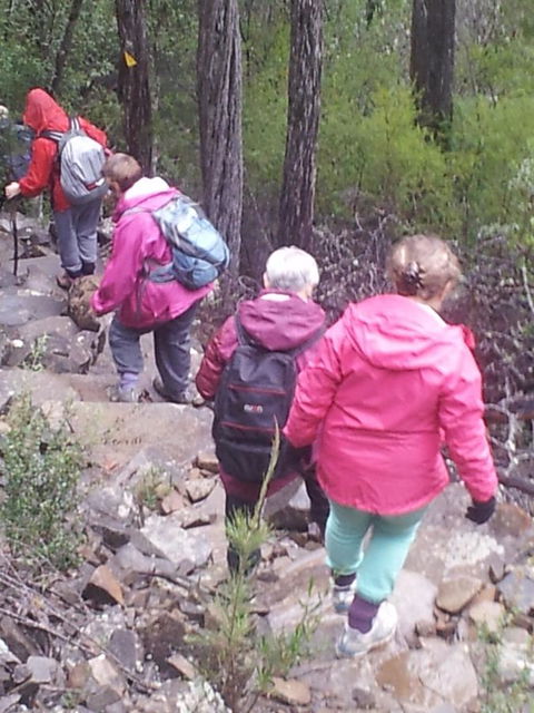 Suntrap Cove Bicheno - Accommodation Tasmania 2