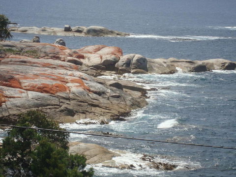 Suntrap Cove Bicheno - Accommodation Tasmania 28