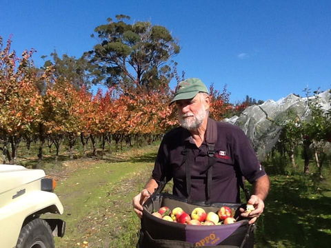 Eureka Farm - Accommodation Tasmania 19