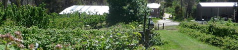 Eureka Farm - Accommodation Tasmania 25