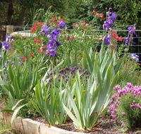 Karoola Cottage Self Contained - Accommodation Tasmania