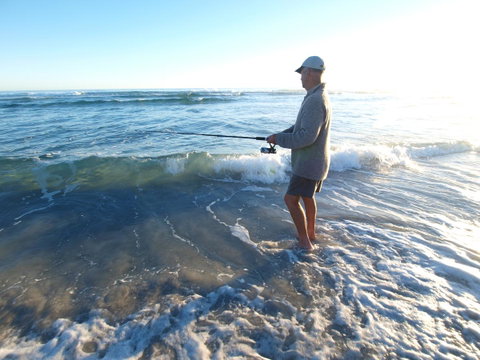 Seymour Waves - Accommodation Tasmania 22