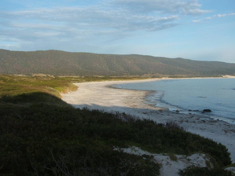 Seymour Waves - Accommodation Tasmania 20