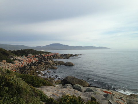 Seymour Waves - Accommodation Tasmania 12
