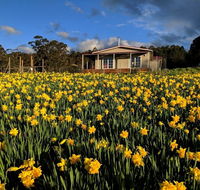 Mountain Blue Guest House - Accommodation Tasmania
