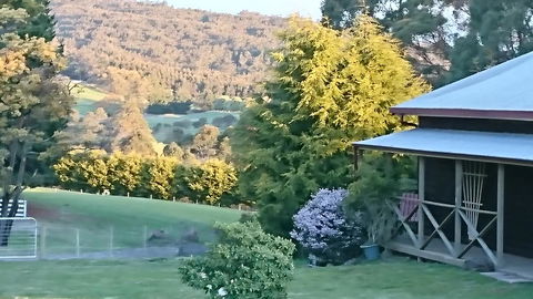 Glengarry Farm Stay BnB - Accommodation Tasmania 7
