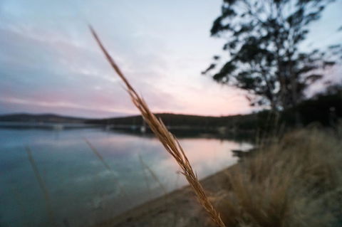 Free Spirit Pods - Accommodation Tasmania 8