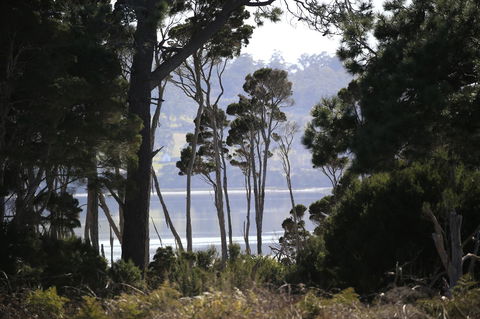 Riverwalk B&B - Accommodation Tasmania 20